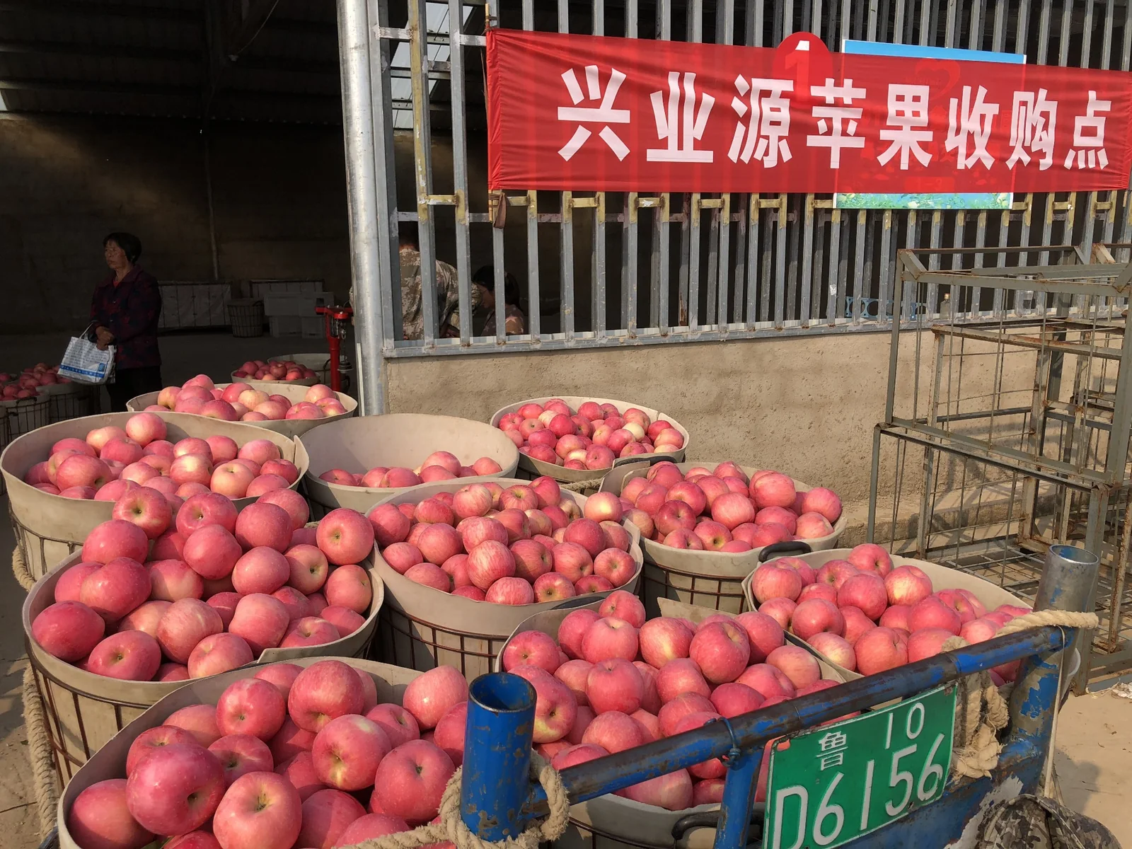 Apples at a wholesale collection point visited by 3YY Fresh