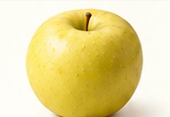 Editorial illustration representing Golden Delicious, for variety comparison only