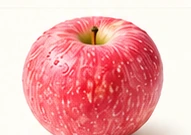 Editorial illustration representing Red Fuji, for variety comparison only