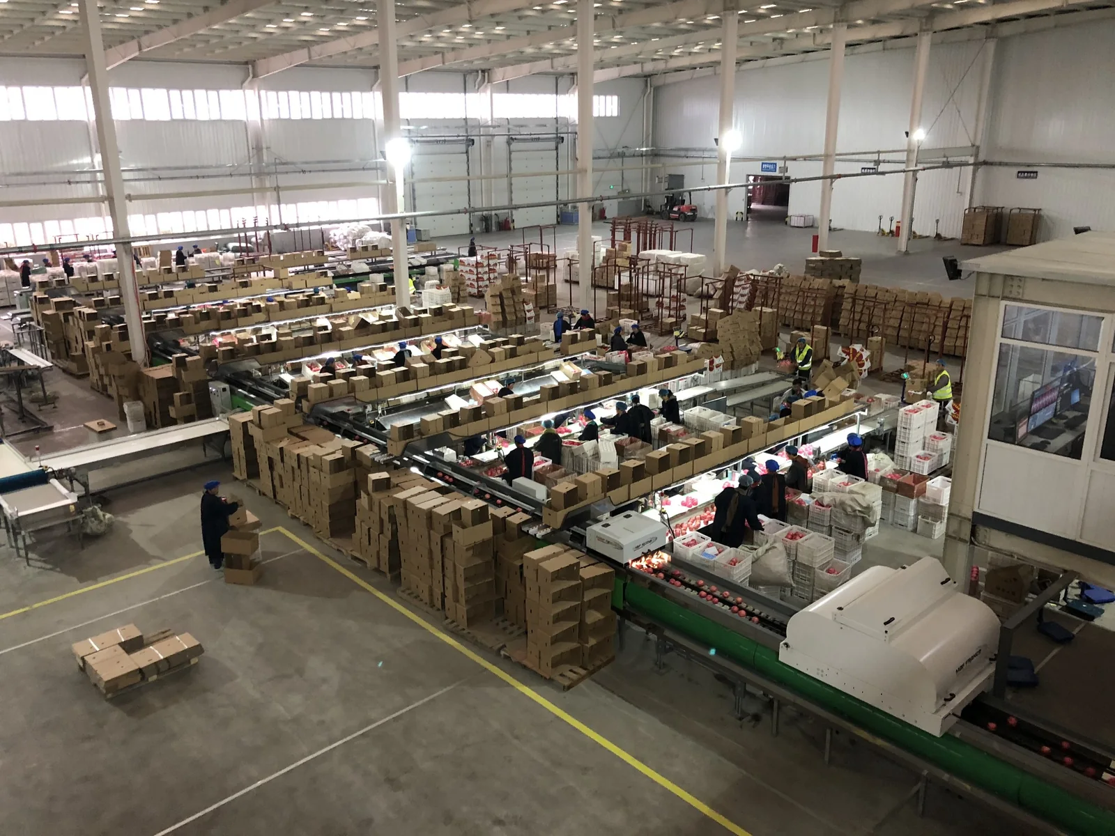Produce grading and packing facility photographed by 3YY Fresh